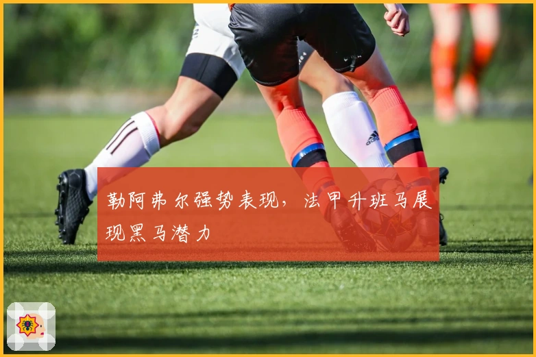 勒阿弗尔强势表现,法甲升班马展现黑马潜力